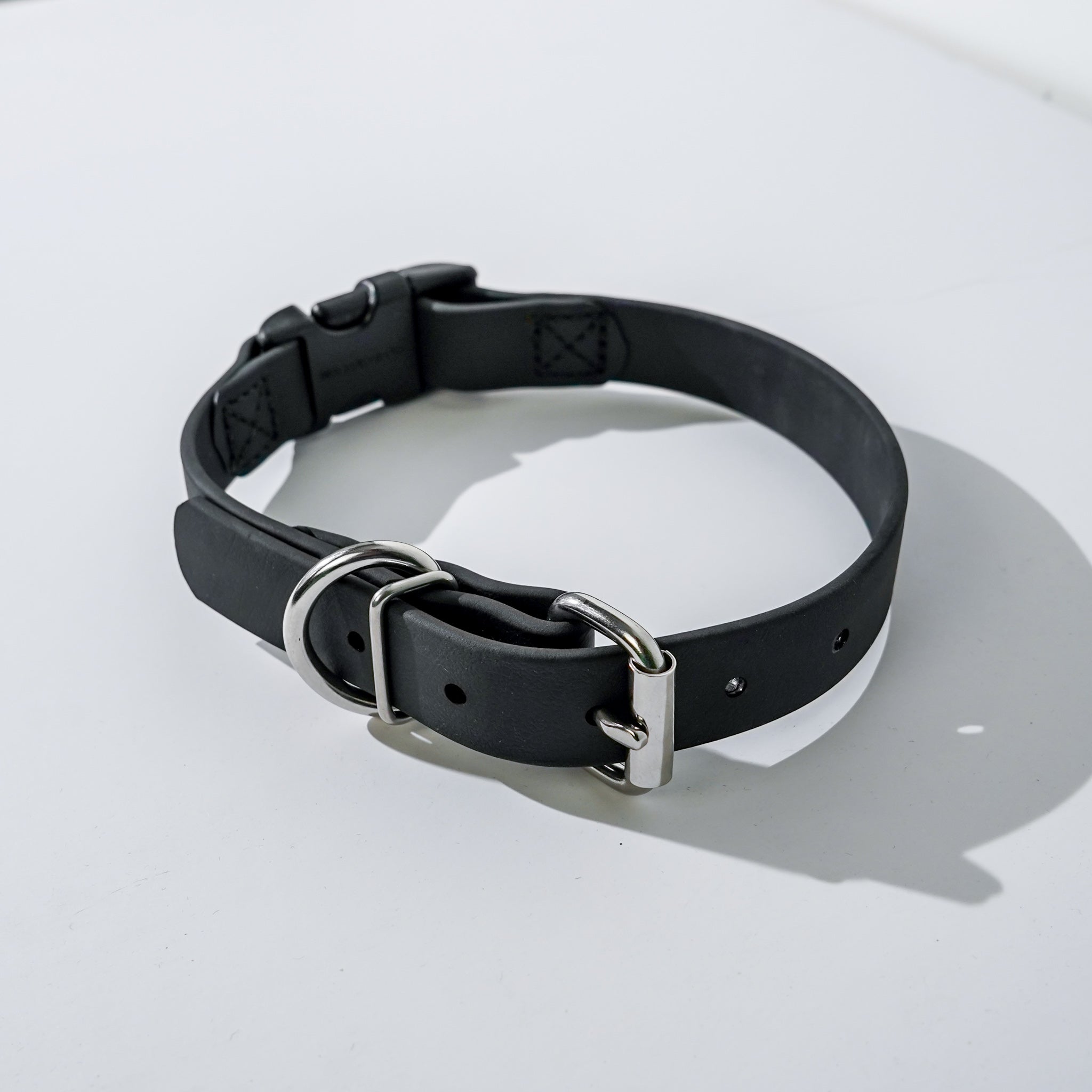 Link BioThane Collar & Leash Set